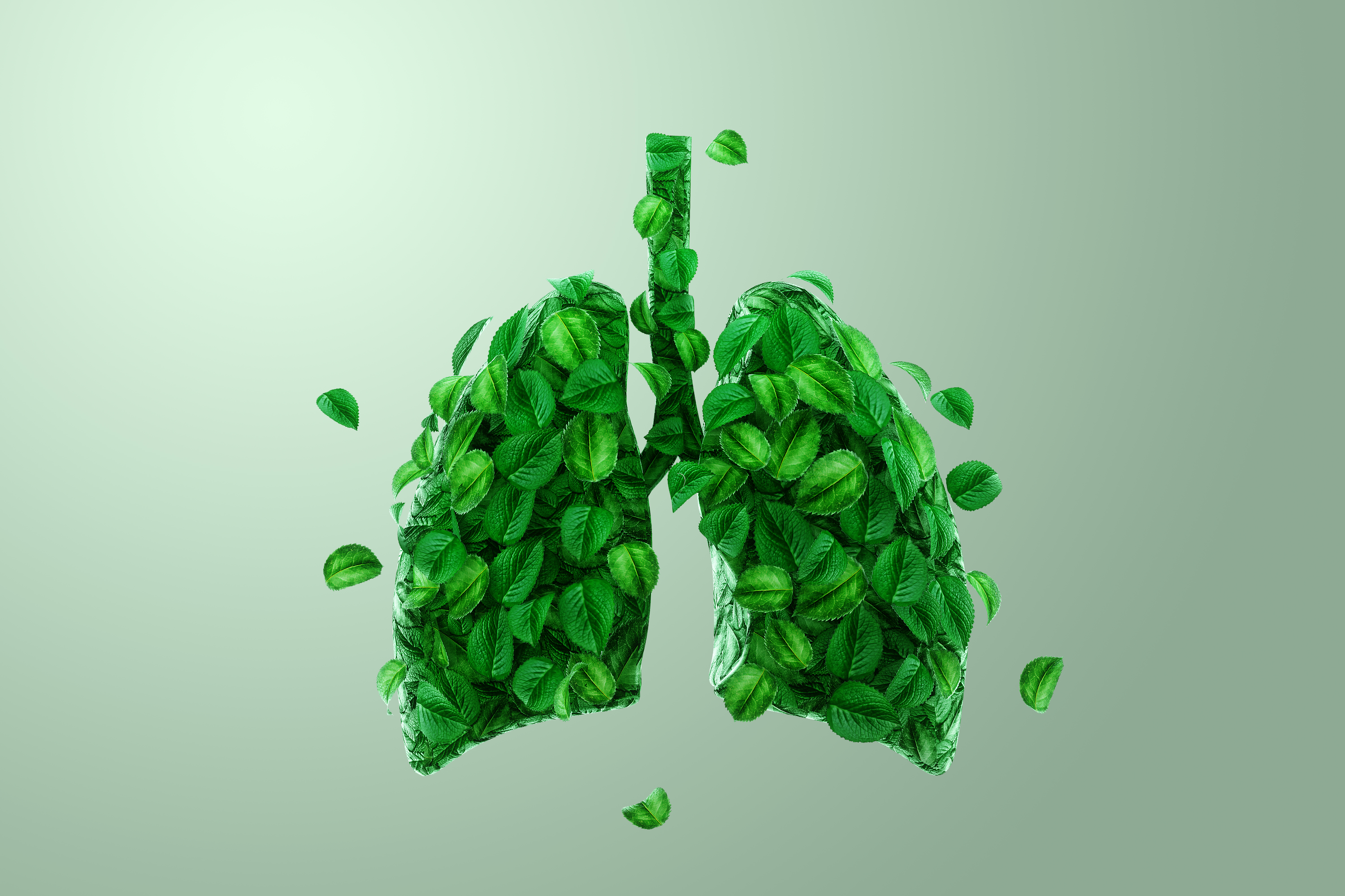 Immunity & Respiratory Health